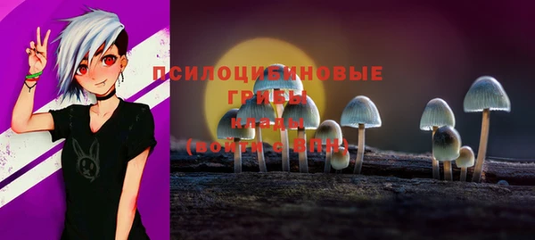 каннабис Богородицк