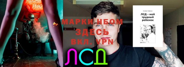 spice Богородск