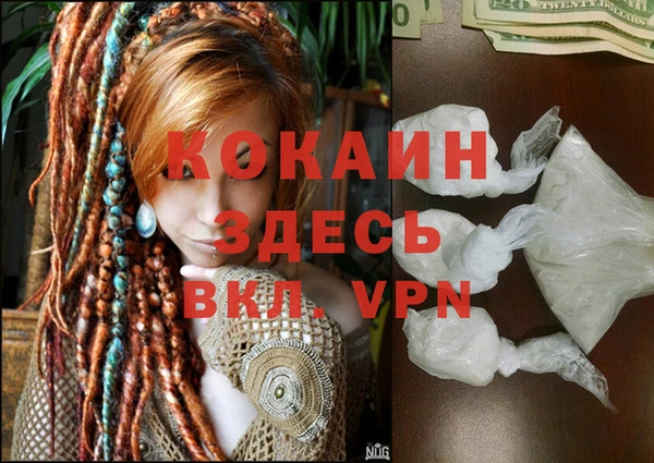 прущие грибы Сатка